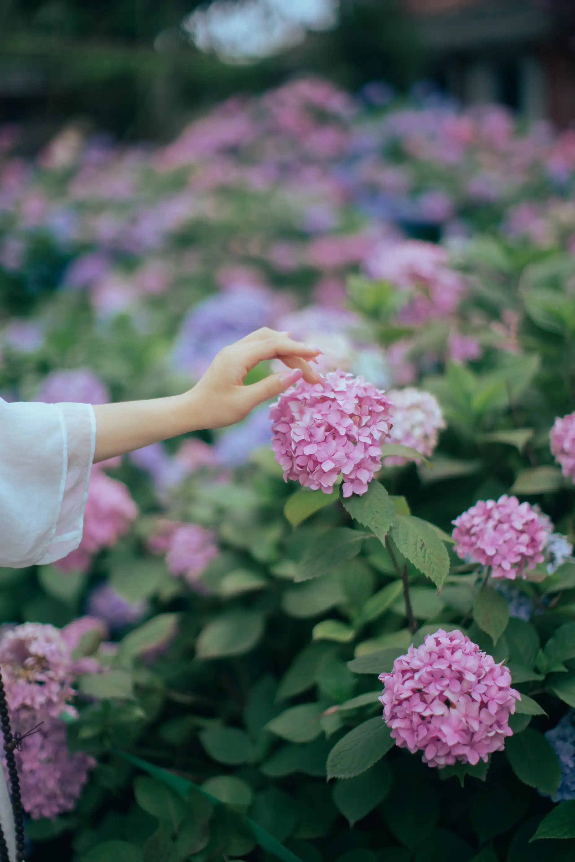 [YITUYU] 2022.07.19 Vol.1525 – The wind blows into the flower forest Wise words#[46P]-9
