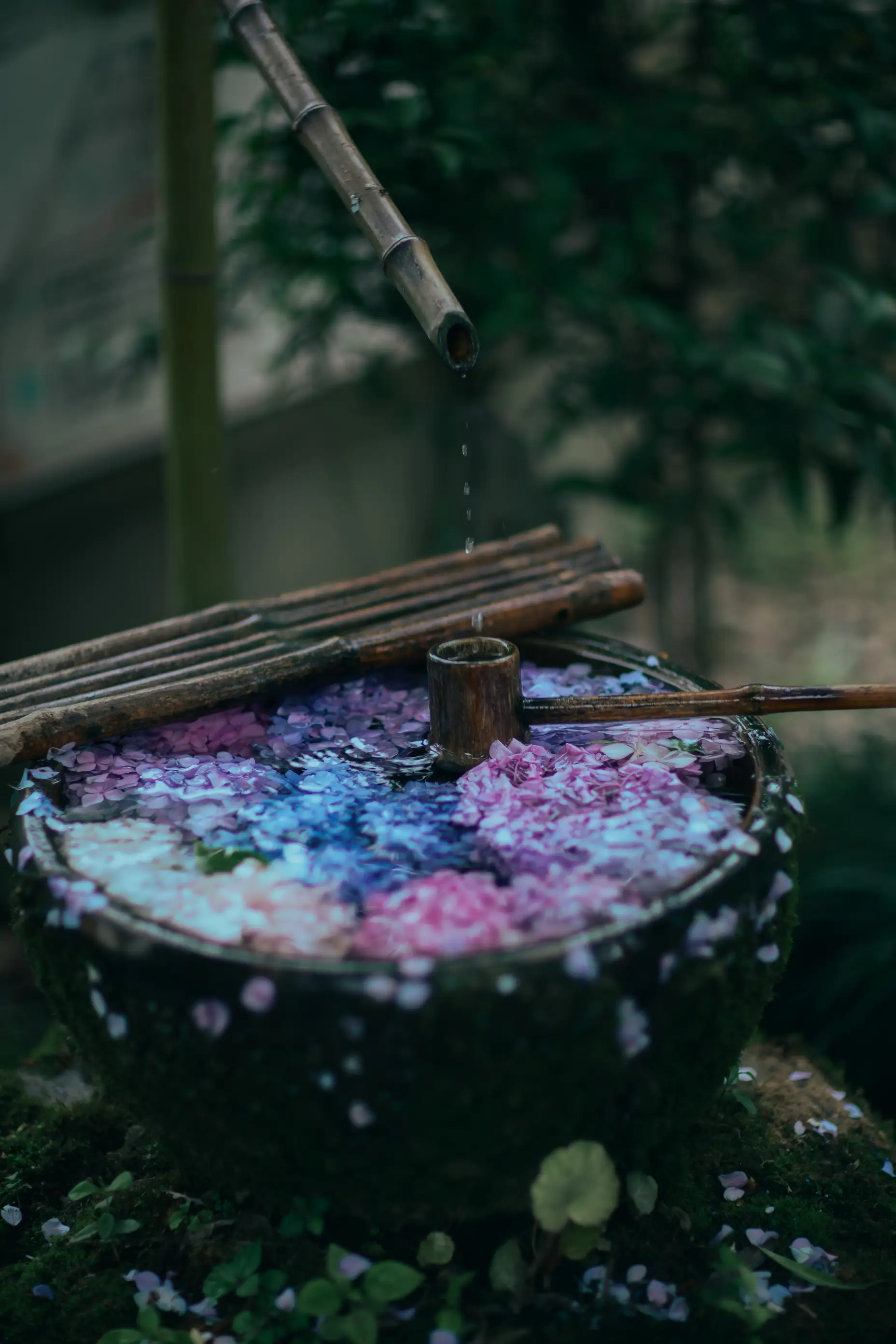 [YITUYU] 2022.07.19 Vol.1525 – The wind blows into the flower forest Wise words#[46P]-10