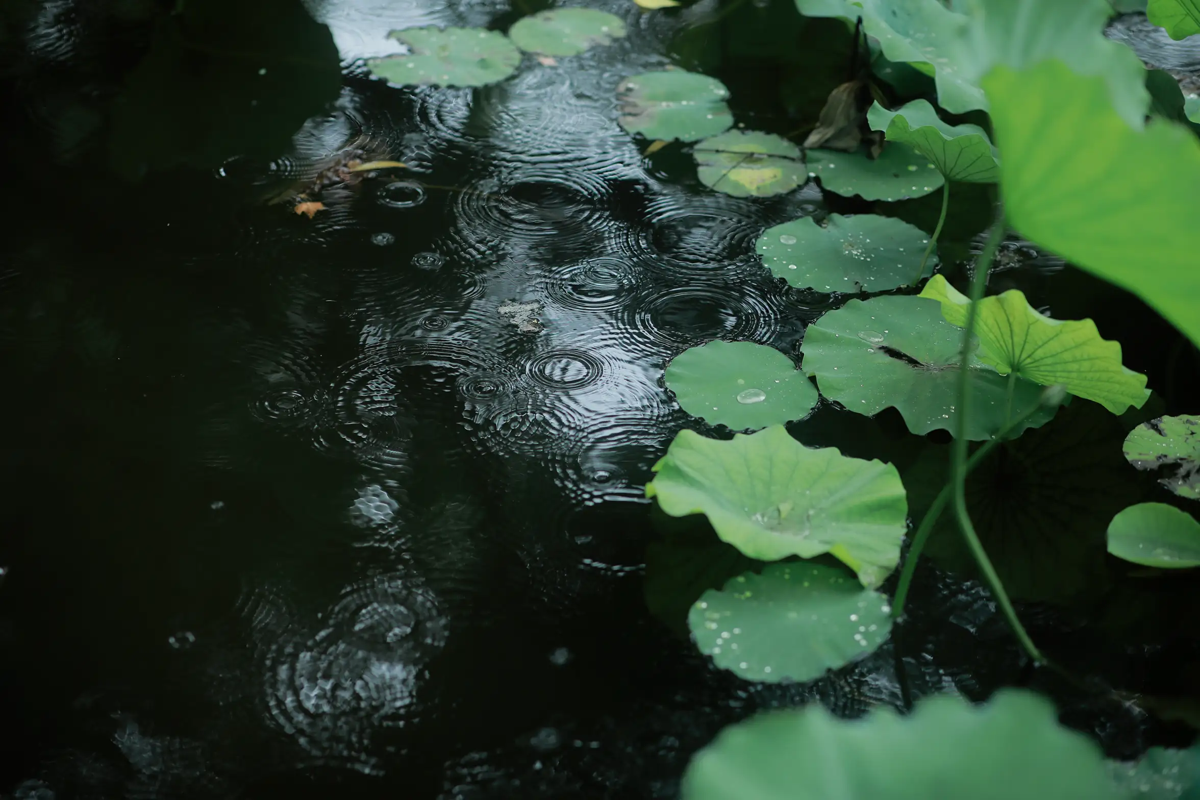 [YITUYU] 2022.08.31 Vol.1838 – Sky Blue Waiting for Misty Rain AChE#[23P]-3