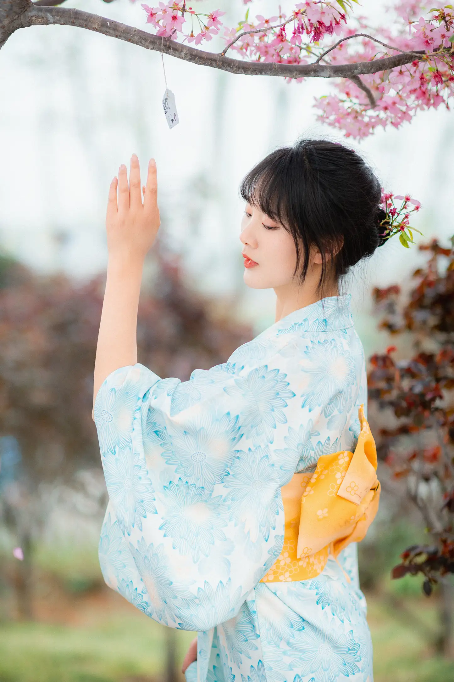 [YITUYU] 2022.11.19 Vol.2478 – Under the Sakura Tree Meimei who loves taking photos#[23P]-3