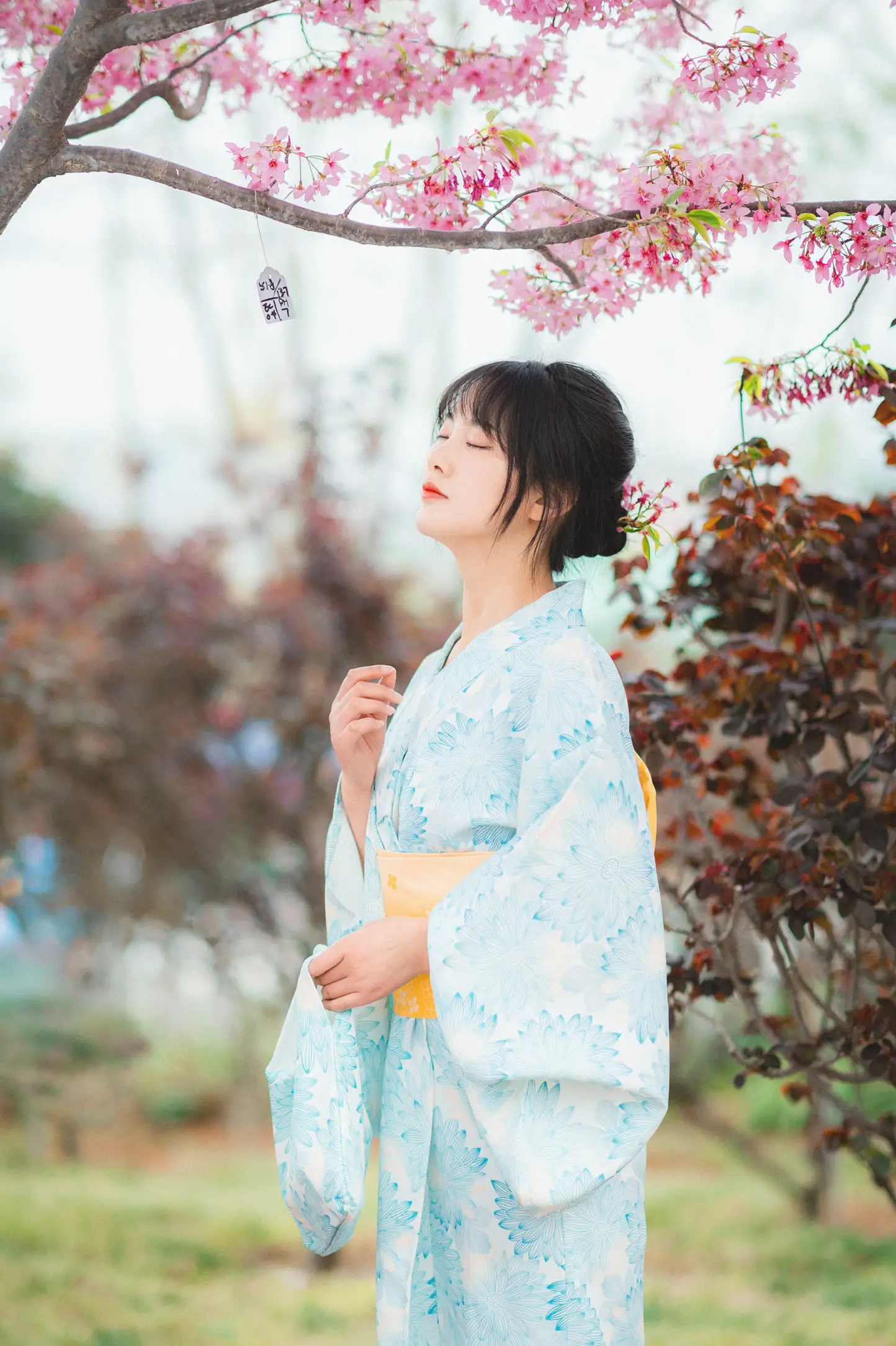 [YITUYU] 2022.11.19 Vol.2478 – Under the Sakura Tree Meimei who loves taking photos#[23P]-6