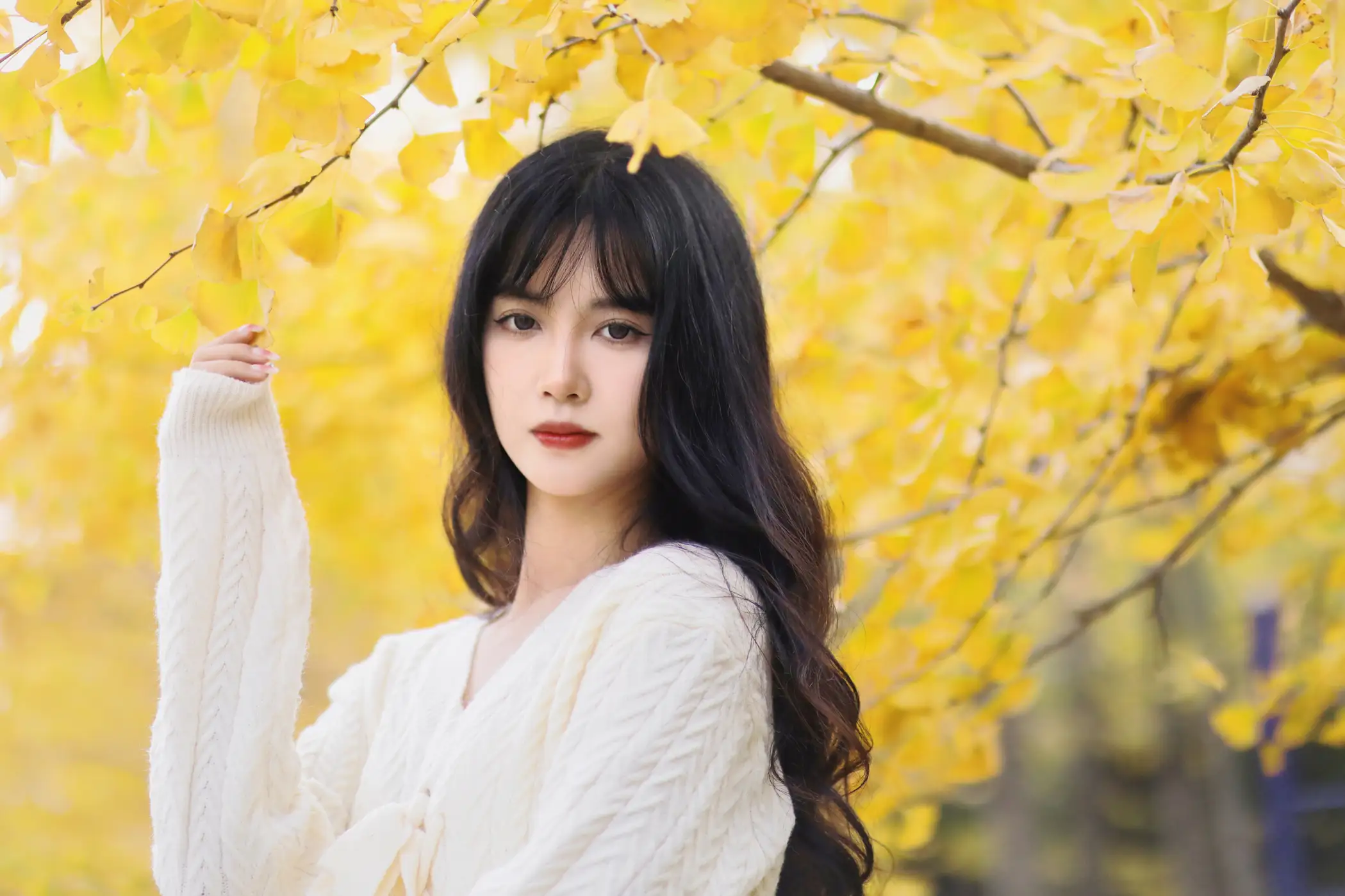 [YITUYU] 2022.11.19 Vol.2472 – Huaiqiu Light cherry blossom#[24P]-3