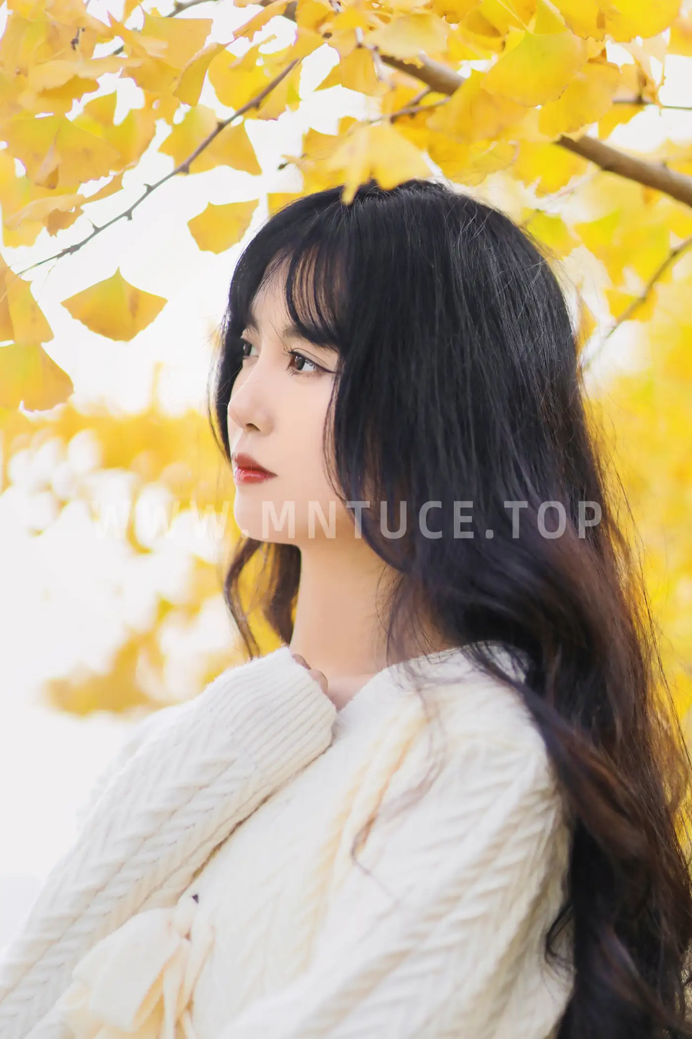 [YITUYU] 2022.11.19 Vol.2472 – Huaiqiu Light cherry blossom#[24P]-4